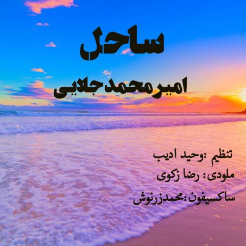 امیرمحمد جلایی ساحل